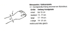 BORT Daumen-Hand-Bandage mit Daumeneinschluss (seitengleich) - 05.07.01.004